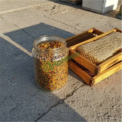 Kocaeli Aranan Polen (Başiskele)