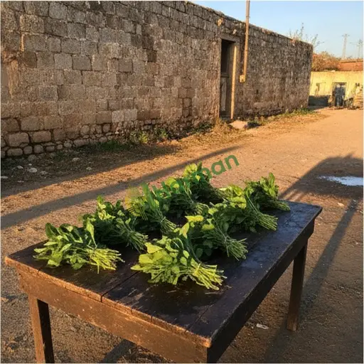 Konya Doğanhisar'den Aranan Roka