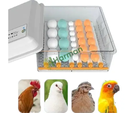 Kuluçka Makinesi 12'lik