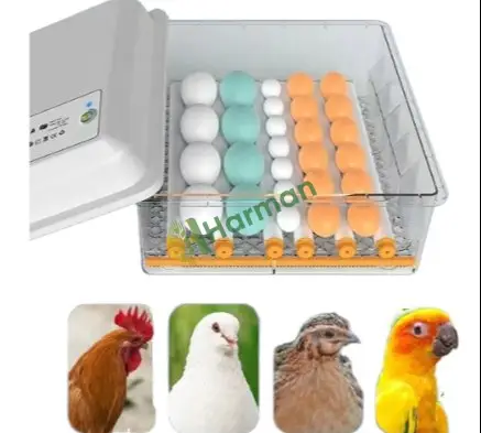 Kuluçka Makinesi 15 Tavuk Yumurtası