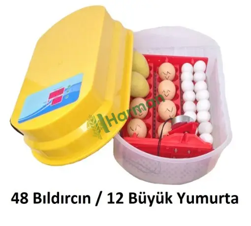 Kuluçka Makinesi 48 Bıldırcın Yumurtası