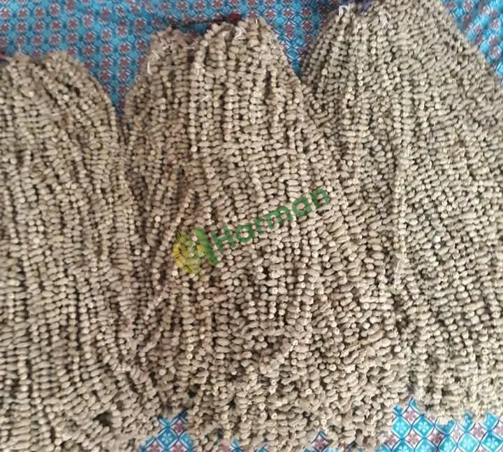 Kuru bamya denizli