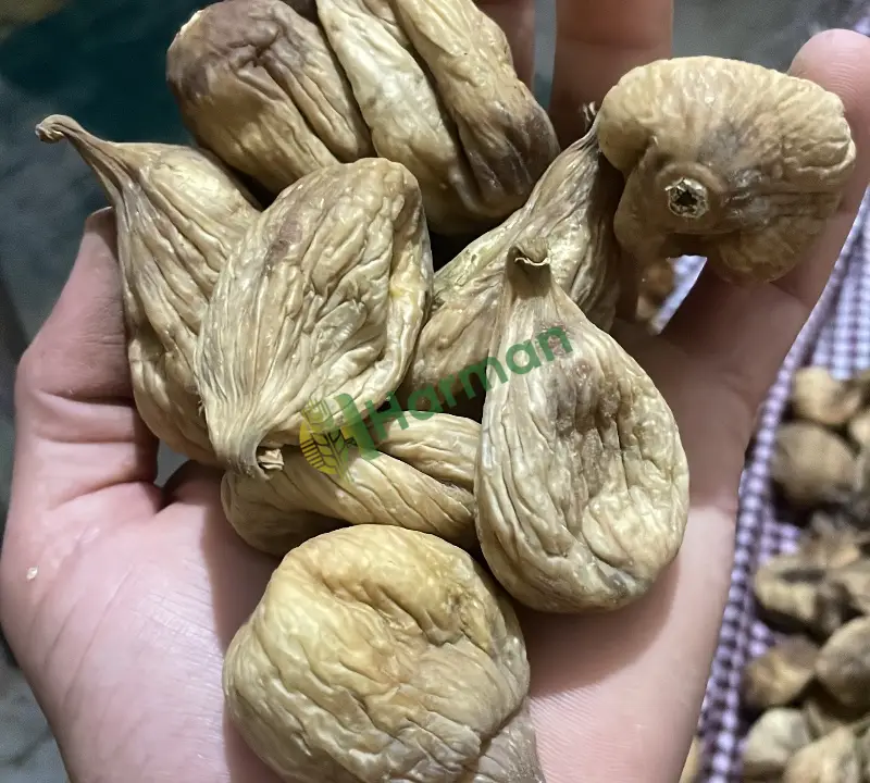 Kuru incir