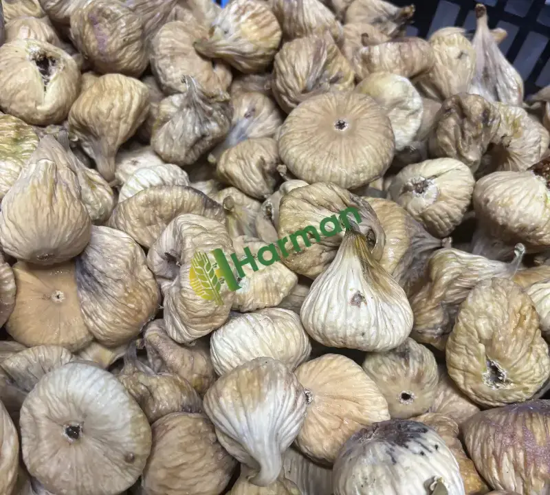 Kuru incir dağ inciri Narhisar Milas