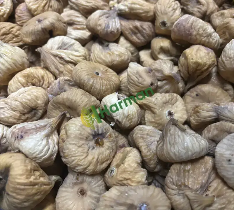 Kuru incir dağ inciri Narhisar Milas