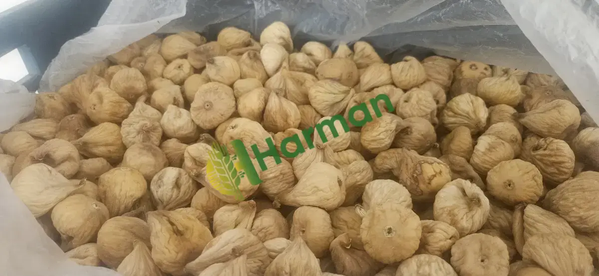 Kuru İNCİR İZMİR/Tire