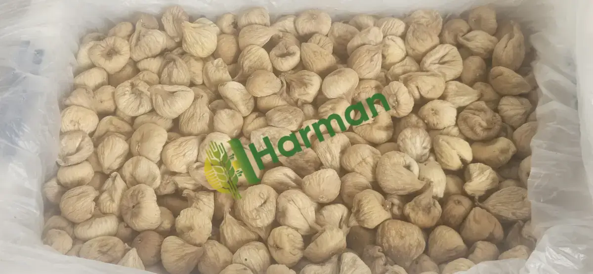 Kuru İNCİR İZMİR/Tire
