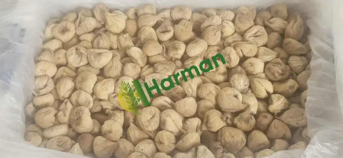 Kuru İNCİR İZMİR/Tire