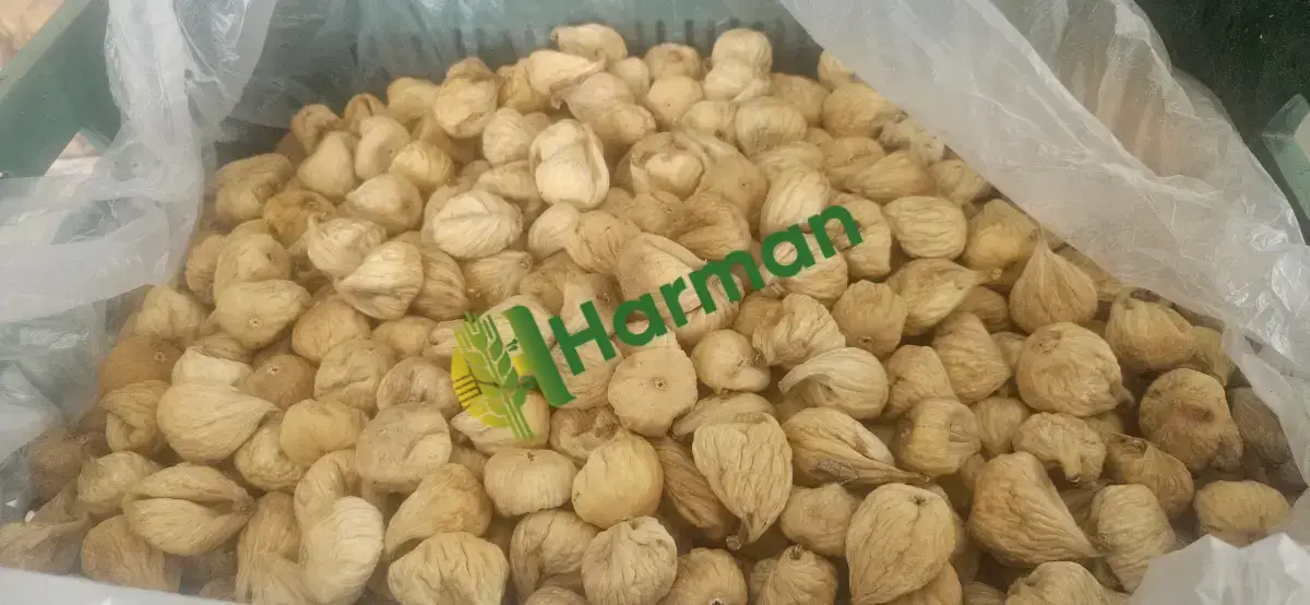 Kuru İNCİR İZMİR/Tire