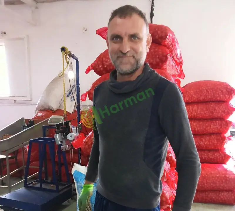 Kuru kabuklu ceviz