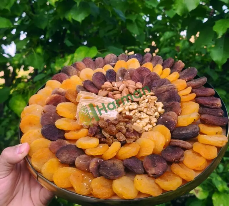 Kayısı Diğer hal fiyatı