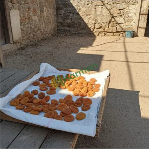 ZERDALİ hal fiyatı