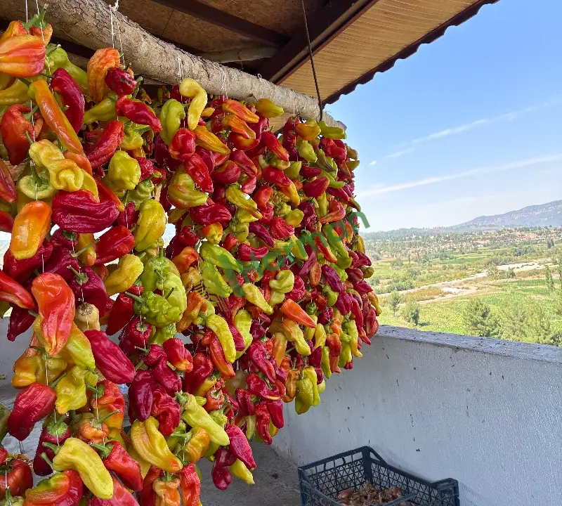 Kurutulmuş Kale Biberi