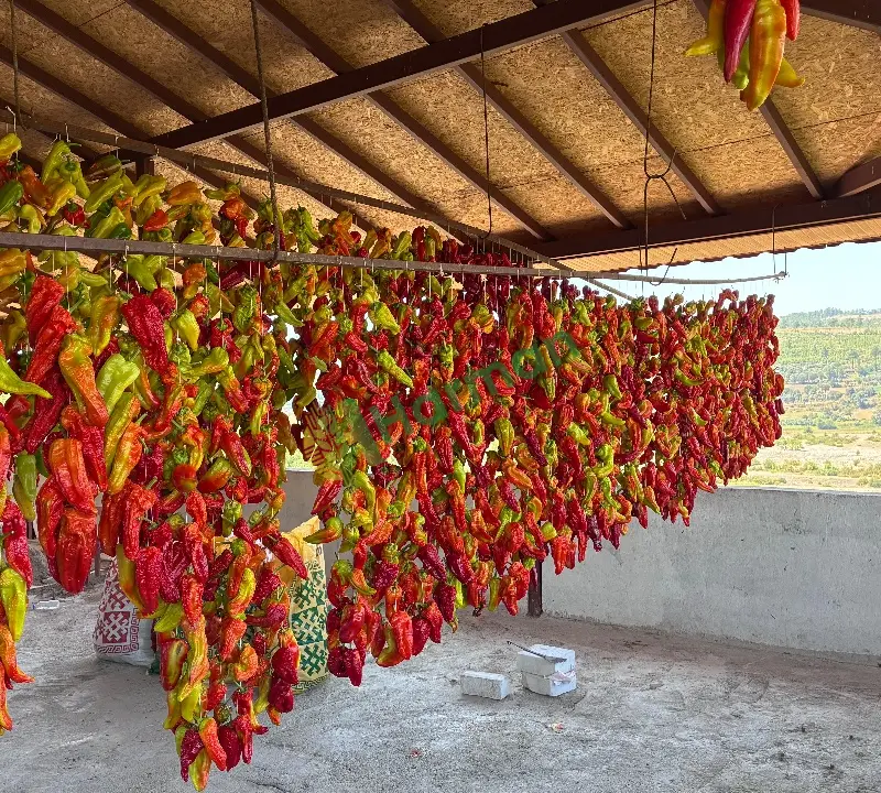 Kurutulmuş Kale Biberi
