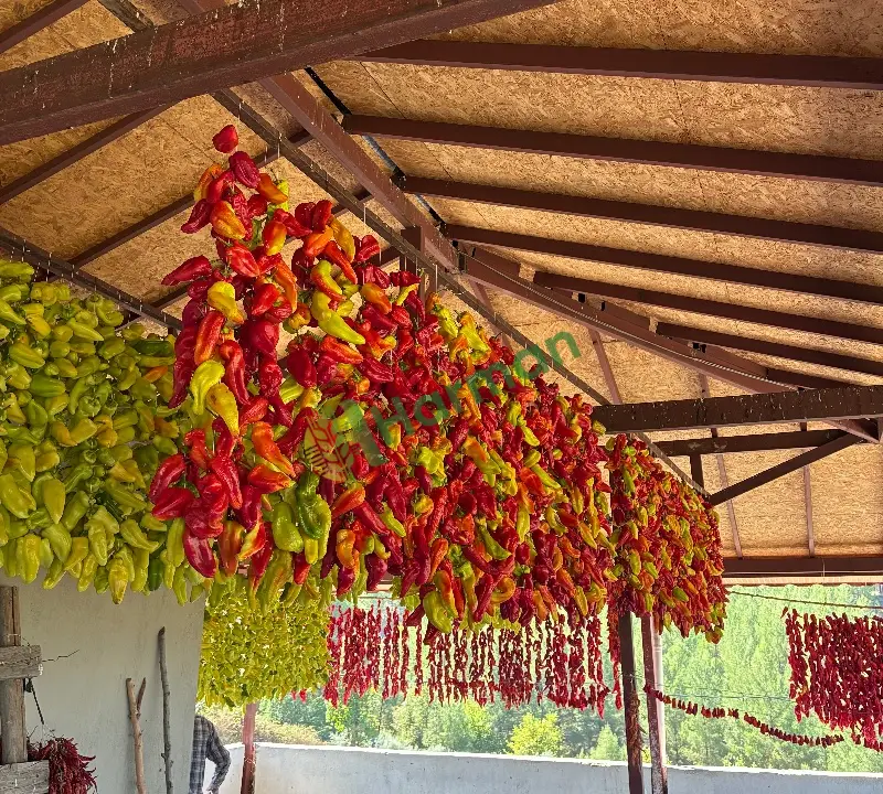 Kurutulmuş Kale Biberi