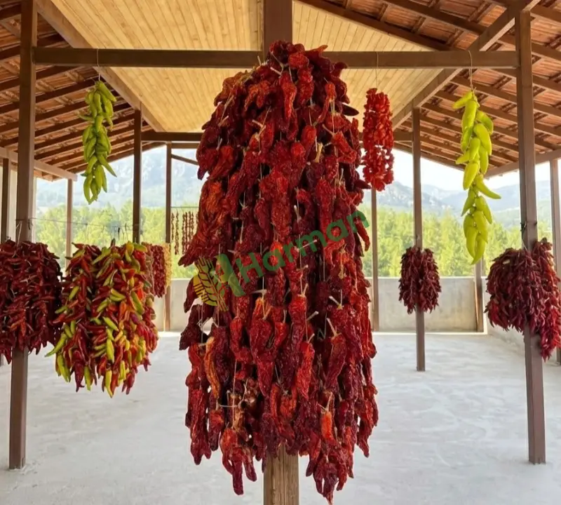 Kurutulmuş Kale Biberi