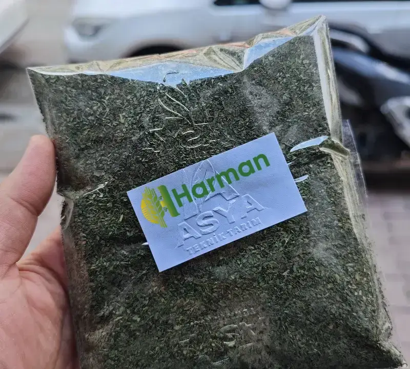 Kurutulmuş Nane