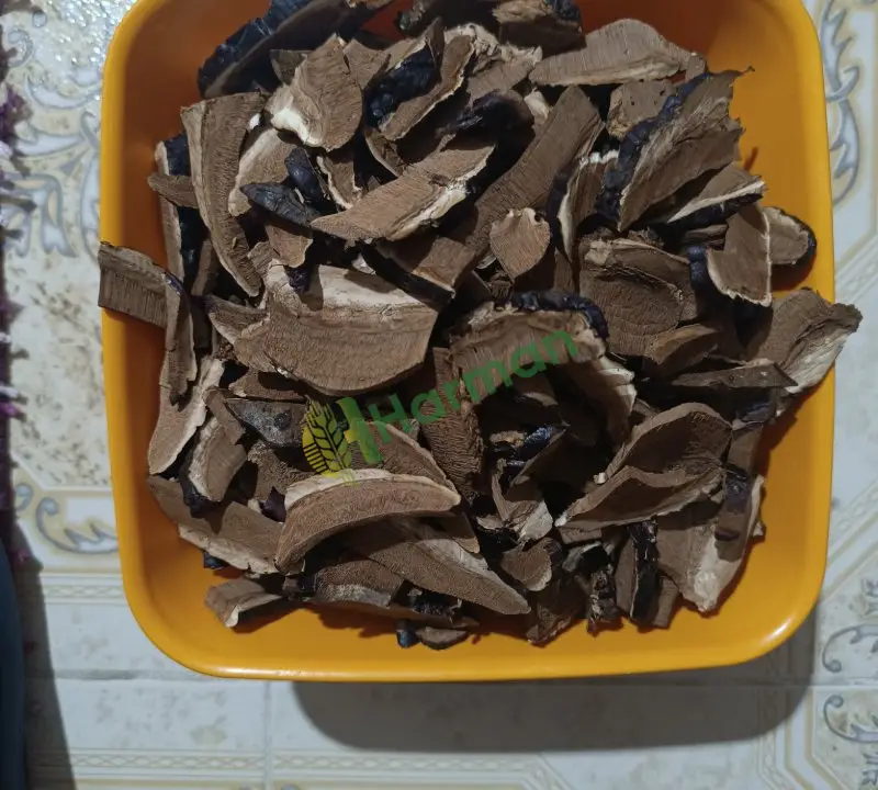 Kurutulmuş reishi mantarı