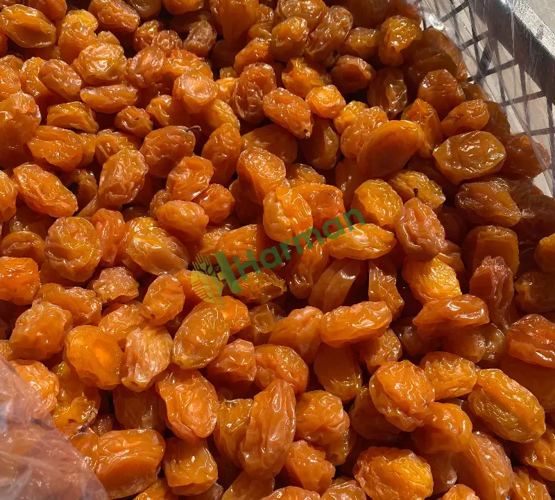 Kurutulmuş sarı erik