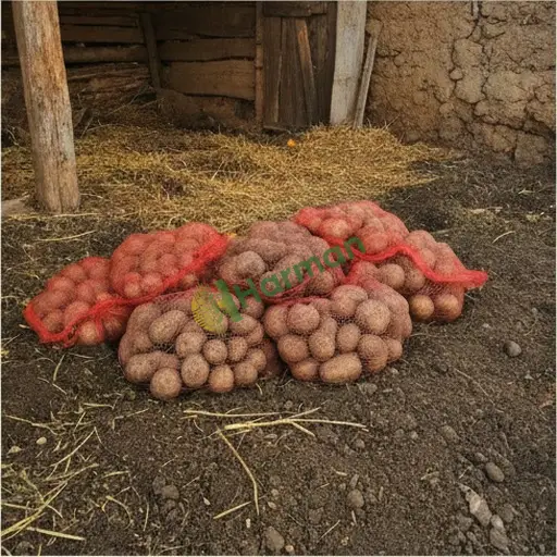 Aranan Meyve Boylama Makinesi, 1 Adet, Kütahya Simav