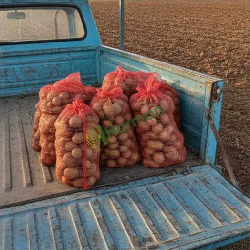 Kütahya Patates - Yöresel Üretim (Aranan)