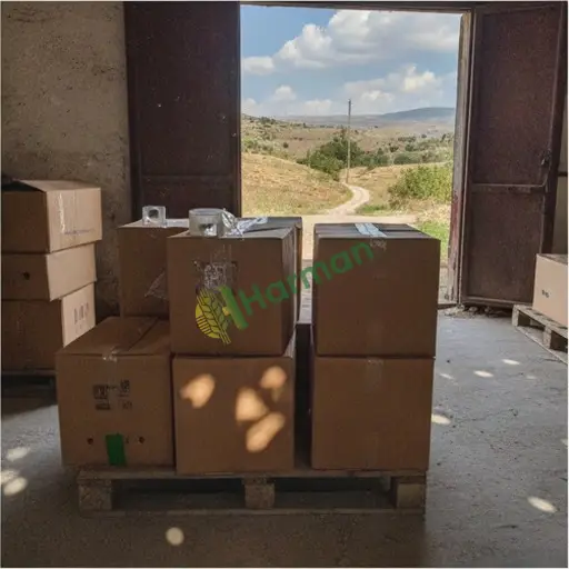 Samsun Ayvacık'ta kutu paketleme işi lazım