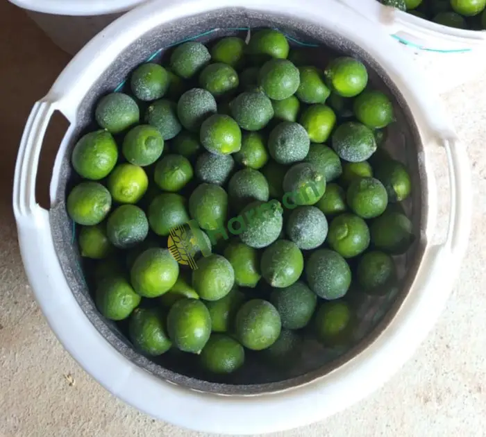 Lime Limon