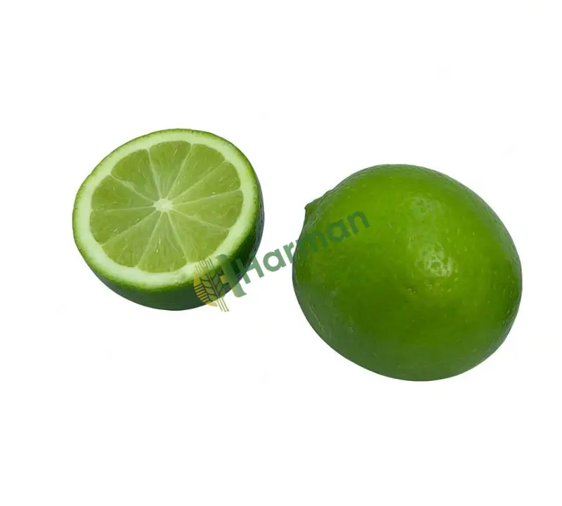 Lime Limon - Anamur