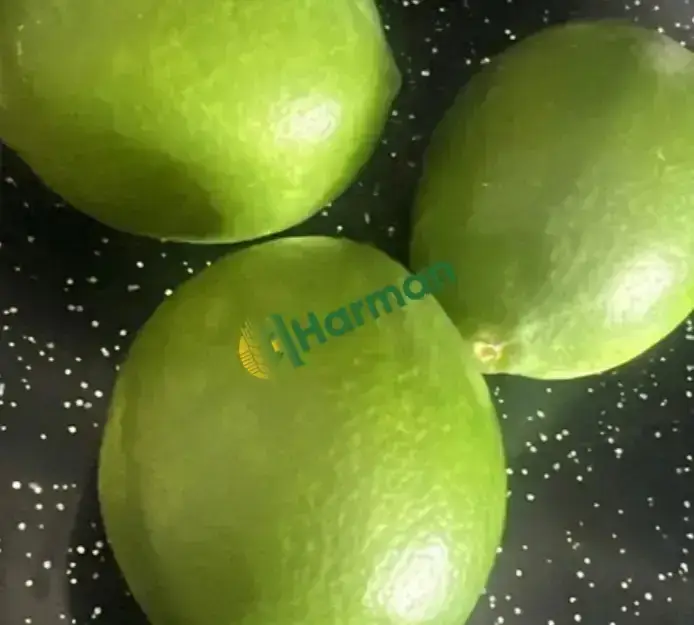 Limon