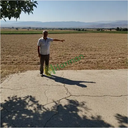 Malatya Aranan Emlak Danışmanı Tarımsal (Yazıhan)