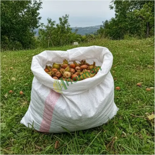 Aranan Fındık - Malatya Kuluncak