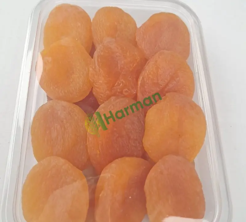 Kayısı Diğer hal fiyatı