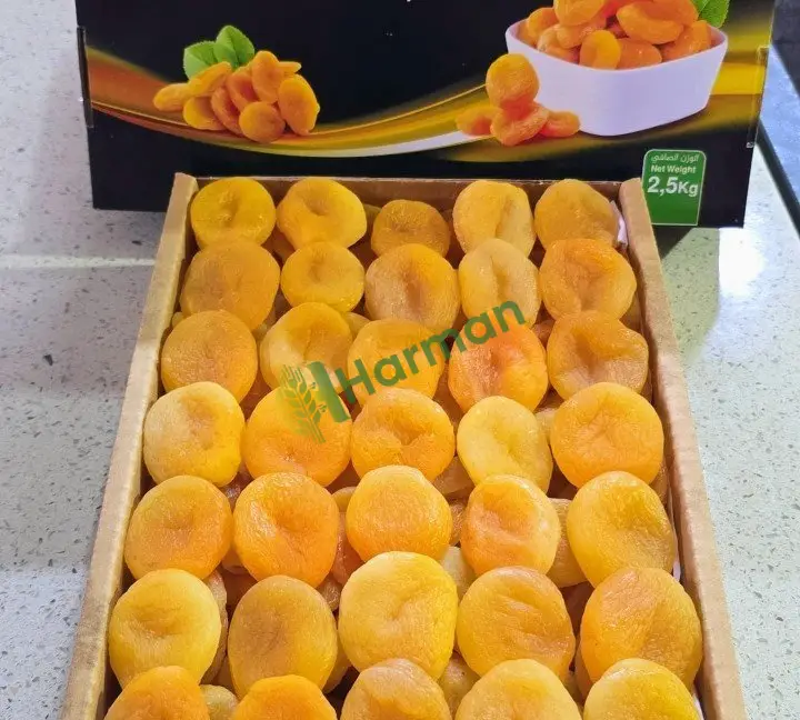Malatya kuru kayısı