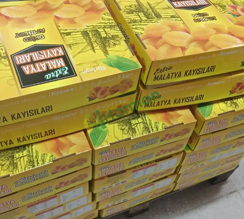 Malatya kuru kayısı