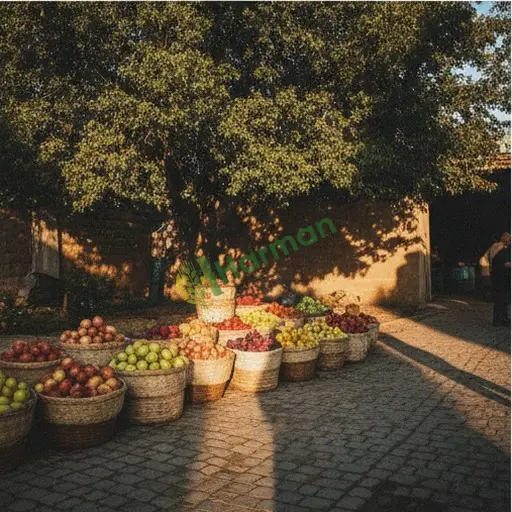 Aranan Organik Meyve Manisa Kula 31 Ton