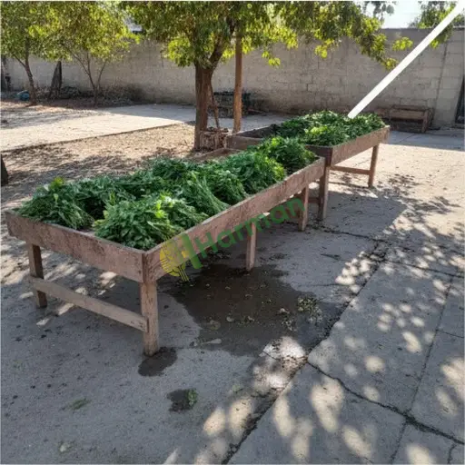 Manisa Akhisar'da roka satılık