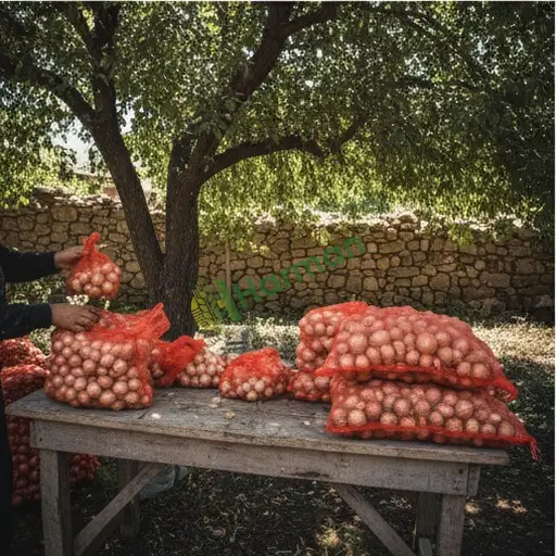 Mardin'de file paketleme işi yapılır