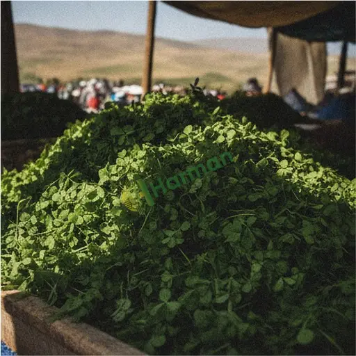 Mardin Savur'da üçgül satıyorum