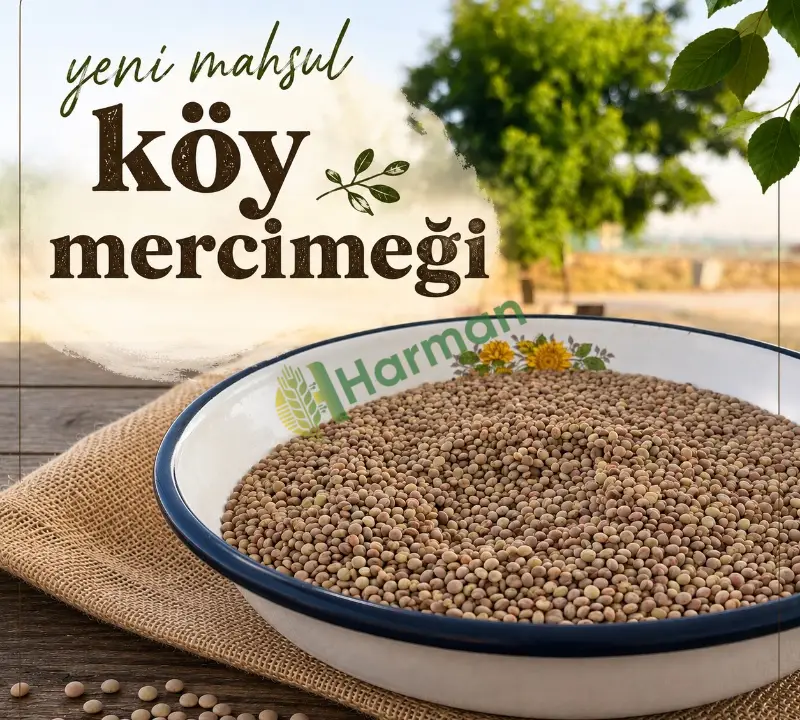 mercimek