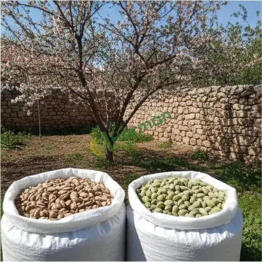 Mersin Bozyazı'da badem satarım