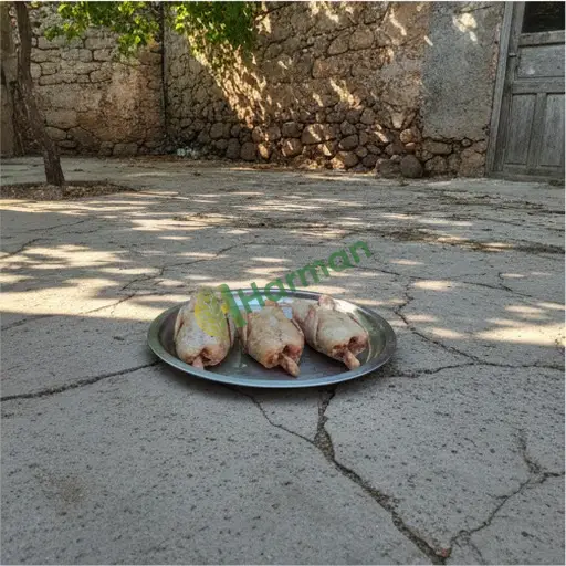 Mersin bıldırcın eti alınır