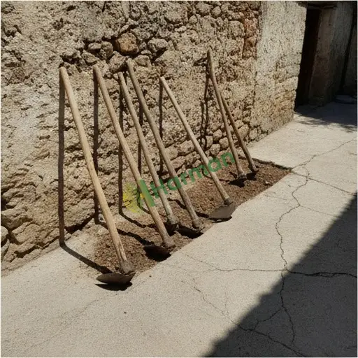 Mersin'de çapa alınacak