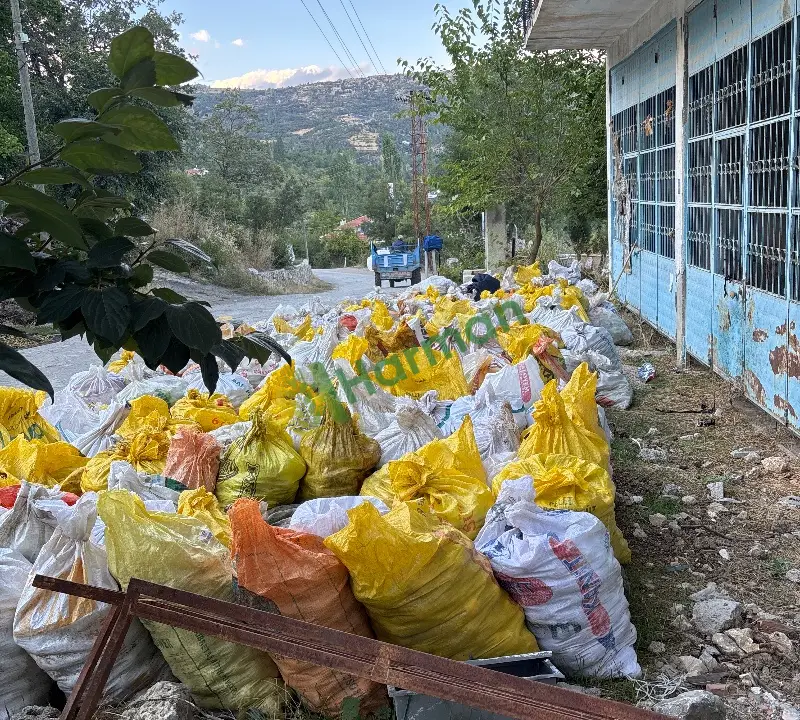 Meysu yer elması