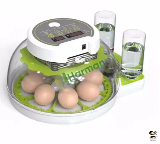 Mini Kuluçka Makinesi 8 Tavuk Yumurta