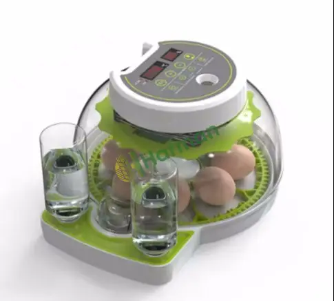 Mini Kuluçka Makinesi 8 Tavuk Yumurta