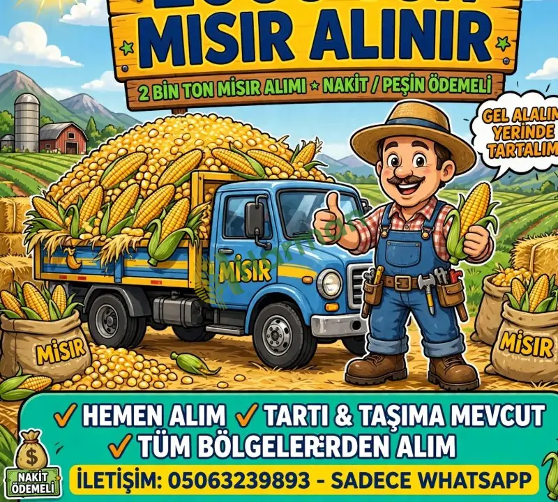 Mısır alımı