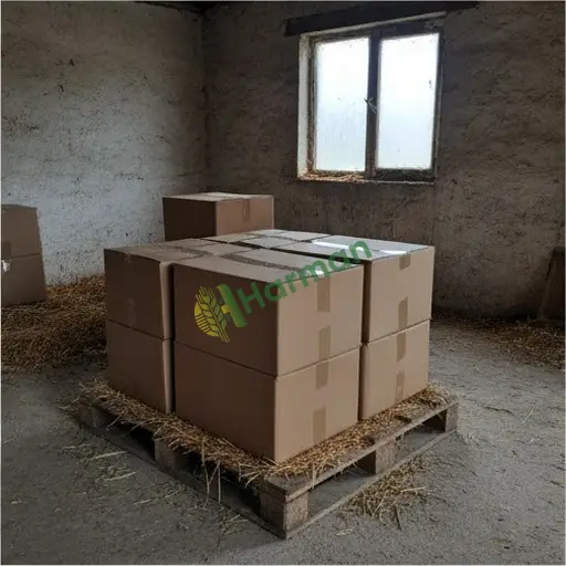 Muğla Merkez'de kutu paketleme hizmeti lazım
