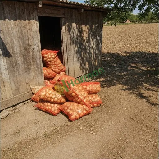 Muş Korkut'ta soğan alıcısıyım