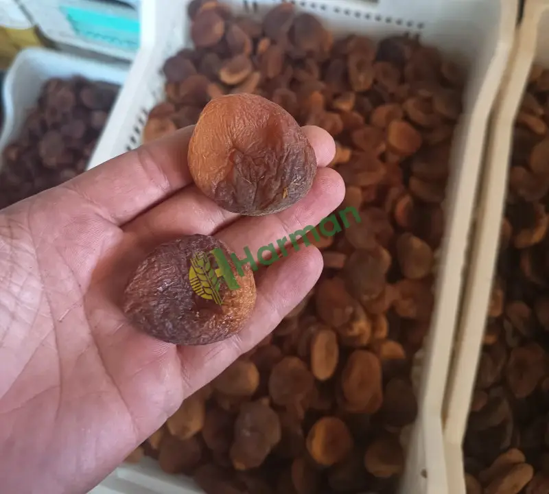Naturel kuru kayısı