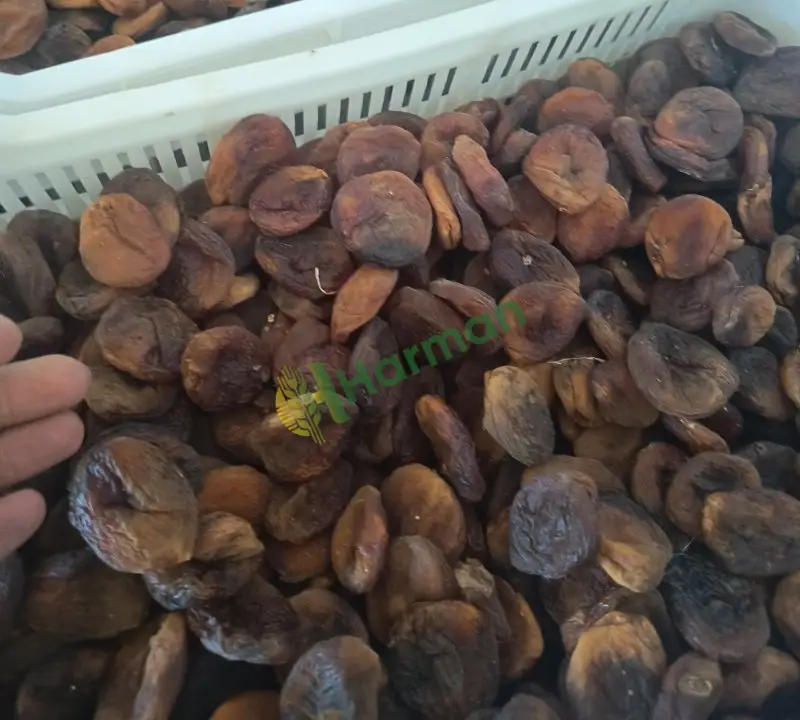 Naturel kuru kayısı